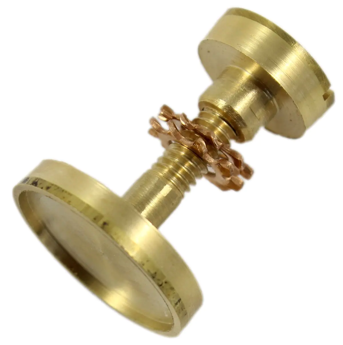 Schraubensatz mit versenkter Medallionkopfschraube und Schlitzmutter aus Messing Schraubensatz mit versenkter Medallionkopfschraube und Schlitzmutter aus Messing