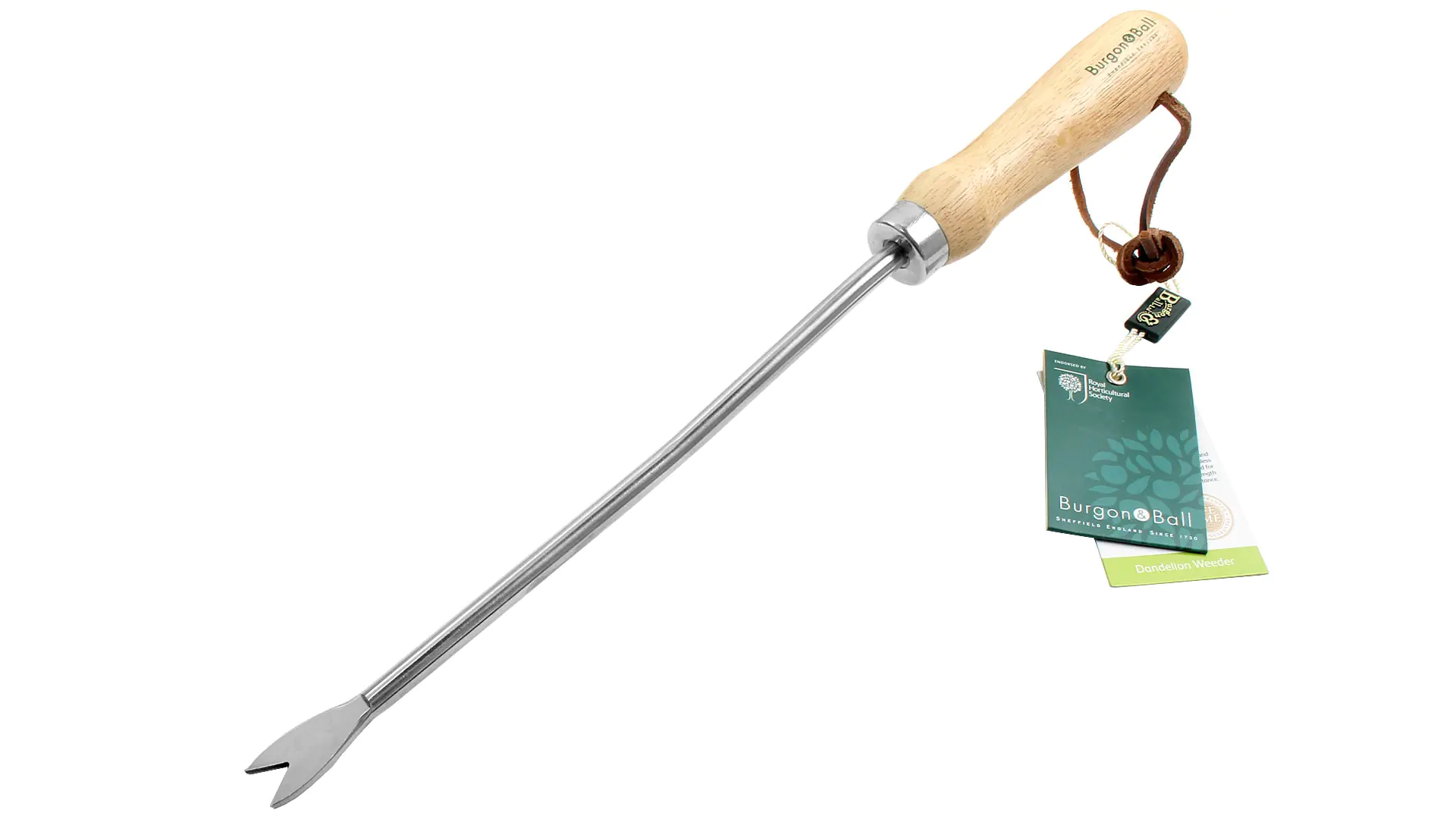 Löwenzahnstecher