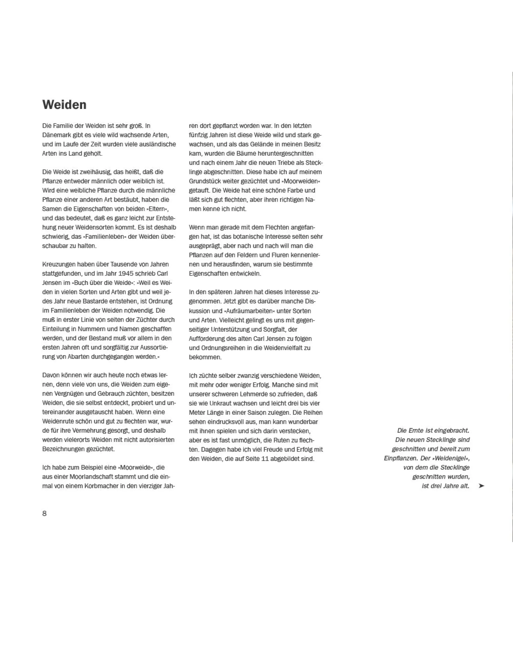 Weidengeflechte für Haus und Garten Weidengeflechte für Haus und Garten