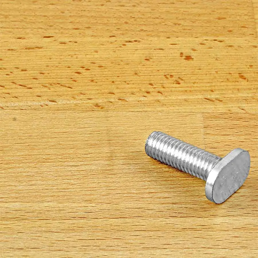 T-Schraube M8 x 25 mm T-Schraube M8 x 25 mm