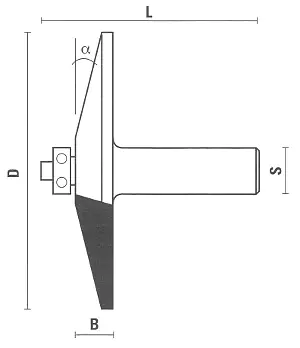Abplattfräser mit Anlaufring schräg gerade Abplattfräser mit Anlaufring schräg gerade