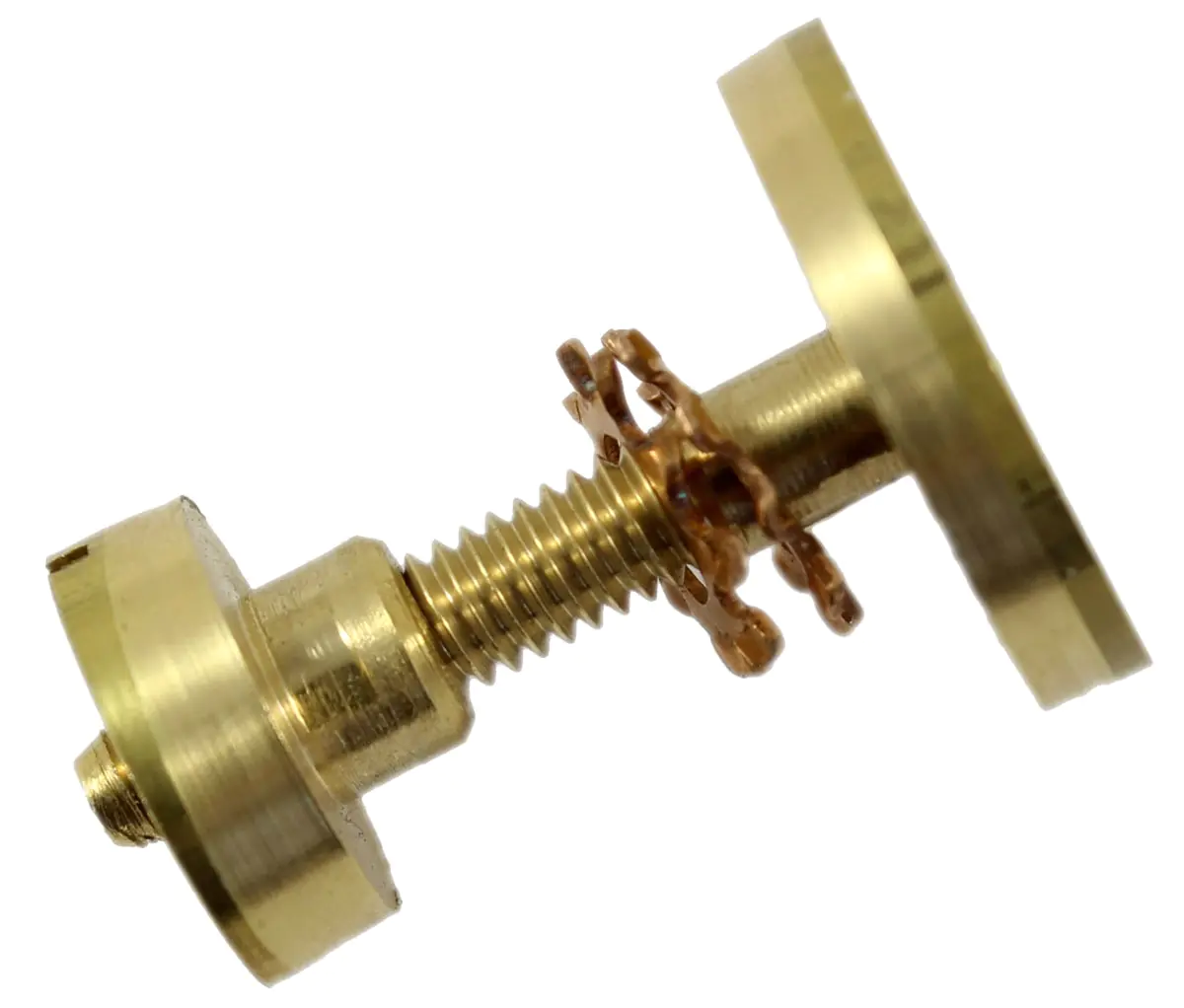 Schraubensatz mit bündiger Medallionkopfschraube und Schlitzmutter aus Messing Schraubensatz mit bündiger Medallionkopfschraube und Schlitzmutter aus Messing