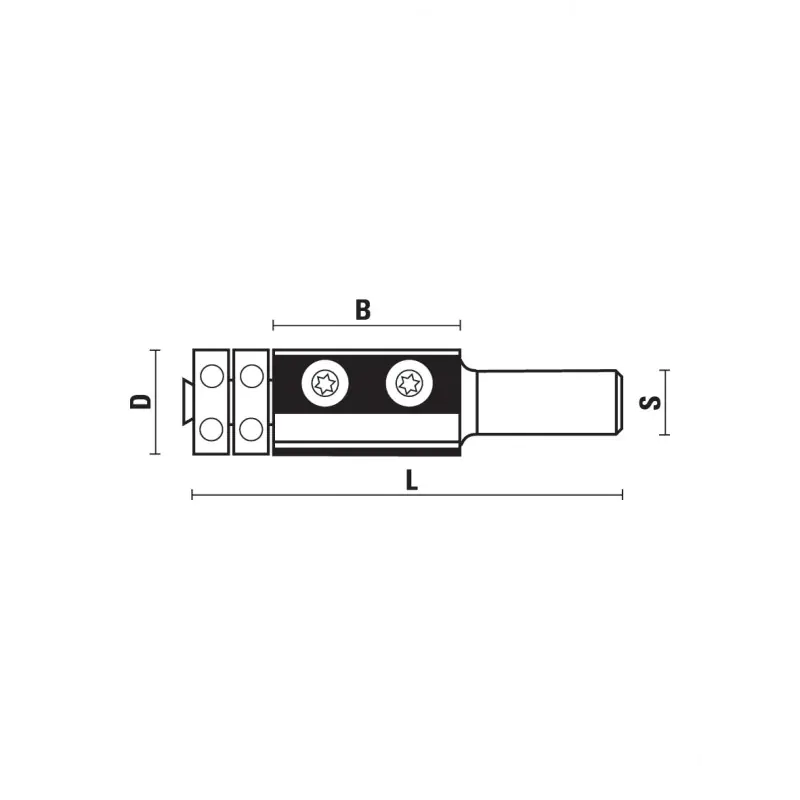 Wendeplatten-Buendigfraeser mit Doppel-Kugellager D=19mm B=50mm L=100mm Z=2 S=12mm KLEIN