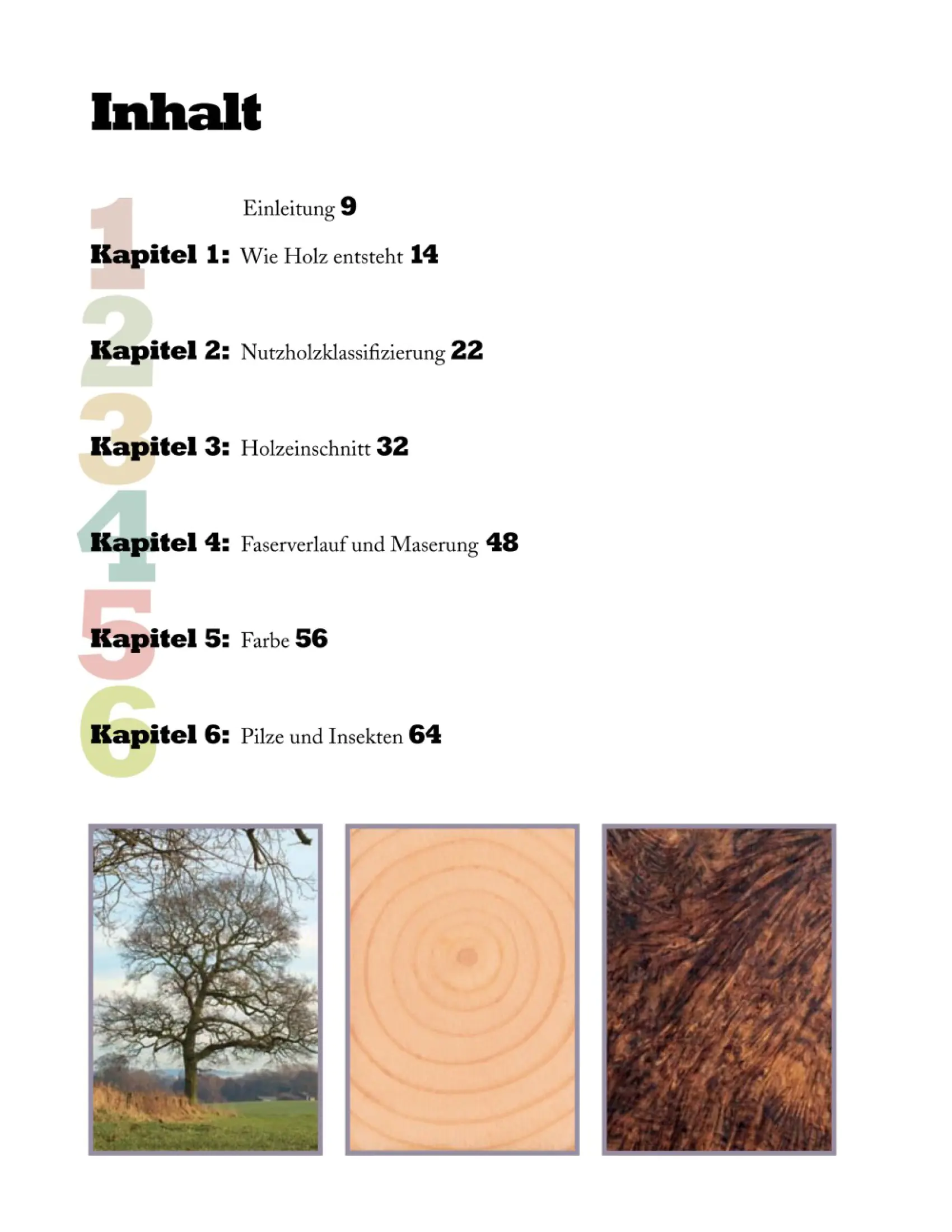 Holz trocknen und lagern Holz trocknen und lagern