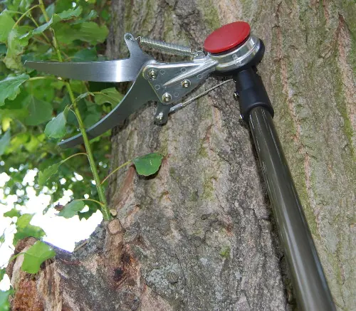 Japanische Stangen-Heckenschere mit Klingen 150 mm, Gesamtlänge 1800 mm Japanische Stangen-Heckenschere mit Klingen 150 mm, Gesamtlänge 1800 mm