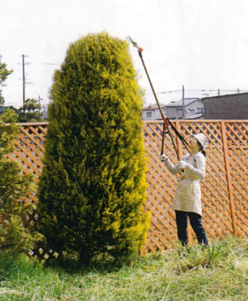 Japanische Stangen-Heckenschere mit Klingen 150 mm, Gesamtlänge 1800 mm Japanische Stangen-Heckenschere mit Klingen 150 mm, Gesamtlänge 1800 mm