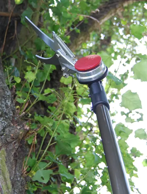 Japanische Stangen-Heckenschere mit Klingen 150 mm, Gesamtlänge 1800 mm Japanische Stangen-Heckenschere mit Klingen 150 mm, Gesamtlänge 1800 mm