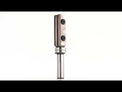 Wendeplatten-Buendigfraeser mit Doppel-Kugellager oben D=19mm B=50mm L=100mm Z=2 S=12mm KLEIN